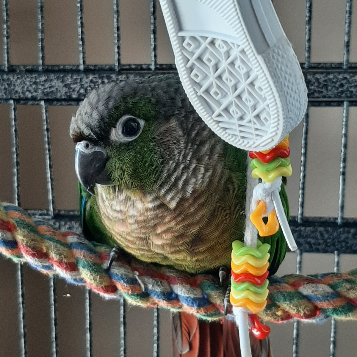 Bird Toys for Parrots | Handmade Parrot Toy Enrichment for Birds