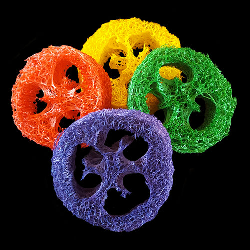 Brightly colored loofah slices measuring approx 2 - 3 inches in diameter and approx 1