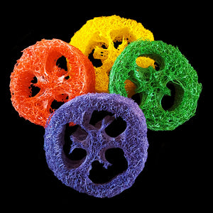 Brightly colored loofah slices measuring approx 2 - 3 inches in diameter and approx 1" thick. Since loofah is a natural product (vegetable of the gourd family) the size and shape may vary.  Package contains 5 slices in assorted colors.