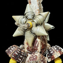 Load image into Gallery viewer, A large mahogany pod with cascading legs of mahogany pod chunks and brightly colored wood beads strung on jute cord. Two crunchy palm leaf bows add another texture for shredding delight! Designed for birds that prefer soft, crunchy textures. Measures approx 5&quot; by 12&quot; including link.

