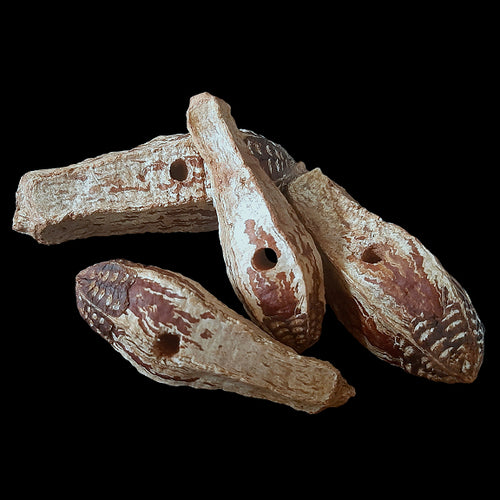 Natural mahogany pods (also called a mahogany bean) are a favorite with all birds! The pods measure approx 1