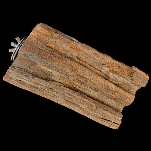 Natural mangrove wood platform perch for small to intermediate sized birds. One side is smooth while the other side is textured with natural grooves & crevices. Easily attaches inside or out of your bird's cage with included hardware.