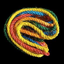 Load image into Gallery viewer, Brightly colored 1/4&quot; sisal rope for making your own bird toys or repairing used toys.  Package contains six, 4 foot lengths of rope in different colors, for a total of 24 feet.
