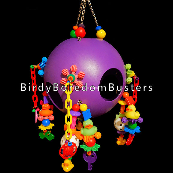 Jolly ball for birds store