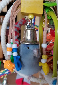 Pushy Pully